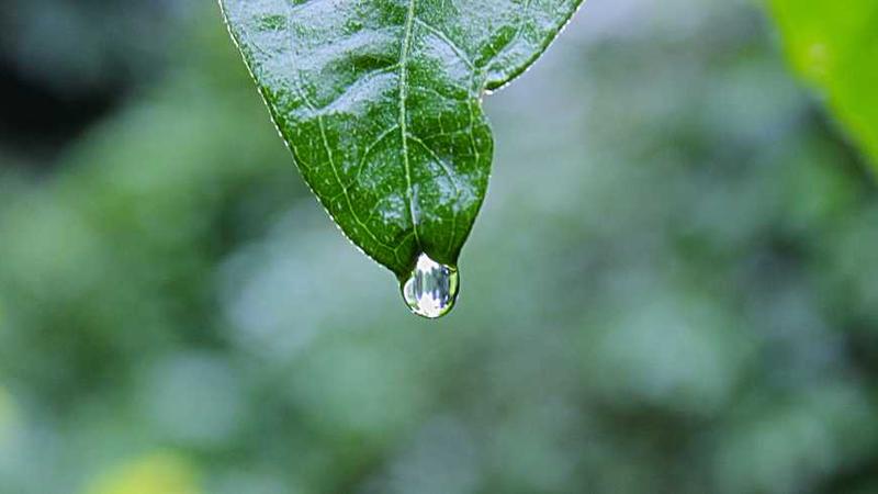 ‘Is This Thing On?’ Bradley Cooper กับวิกฤตวัยกลางคนบนเวที Stand-up ที่อาจต้องใช้ยาแรงกว่านี้
