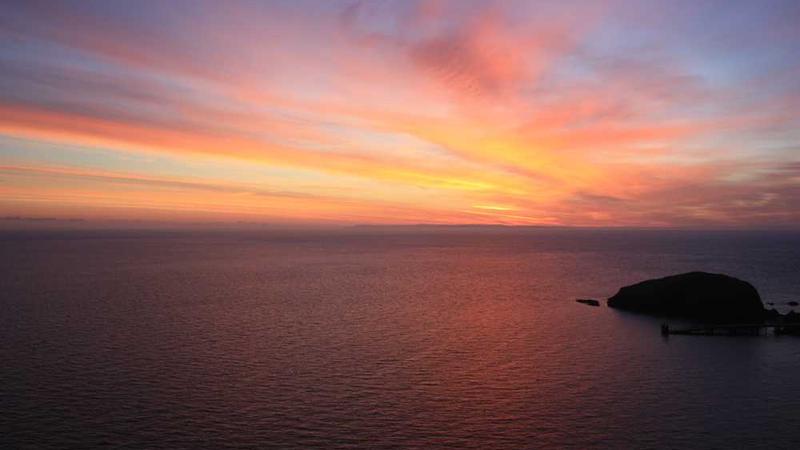 โปเกมอนคืนชีพ! 'Pokémon Legends: Z-A' คอนเฟิร์มเมก้าอีโวลูชันสุดอลังการ เตรียมระเบิดความมันส์ในเมือง Lumiose